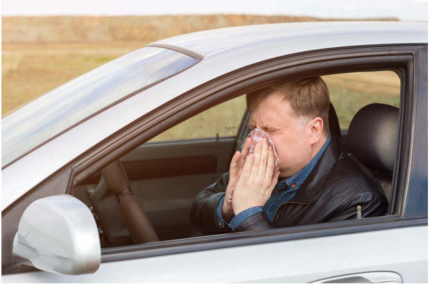 Si no quieres que la alergia te afecte esta primavera cuando conduzcas, sigue estos consejos